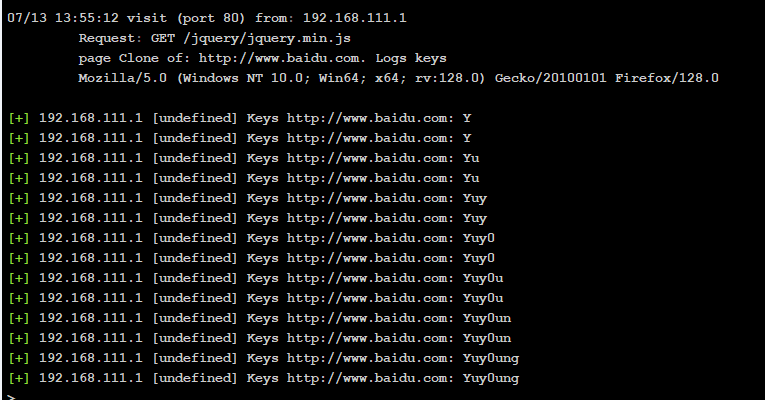 image-20240713135555907