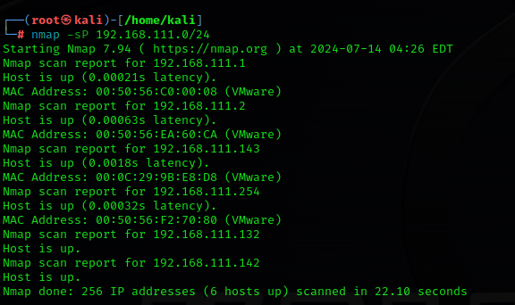 image-20240714162839220