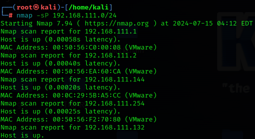 image-20240715161830565