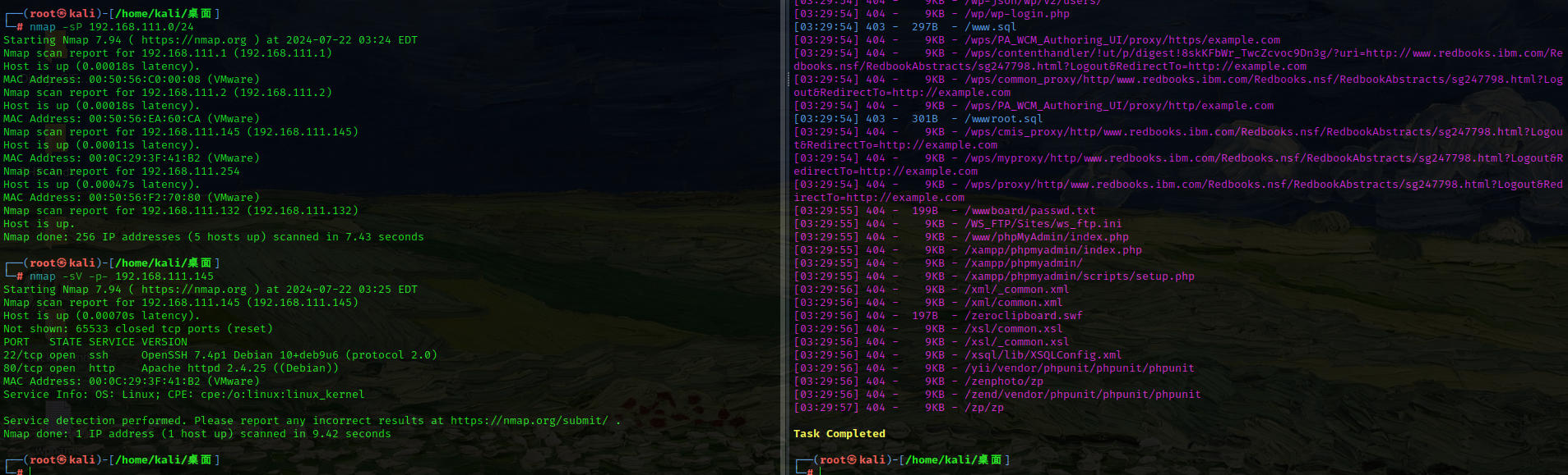 image-20240722153329484