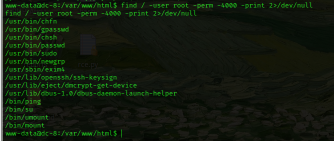 image-20240723180955112