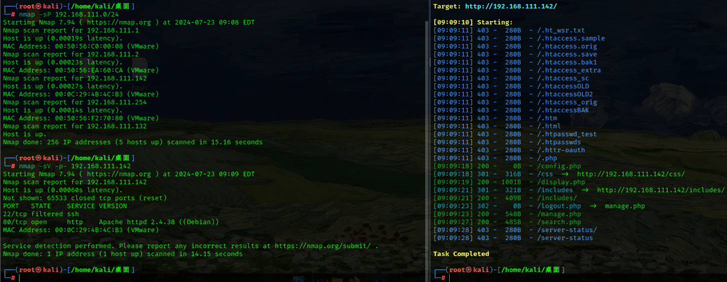 image-20240723215749893