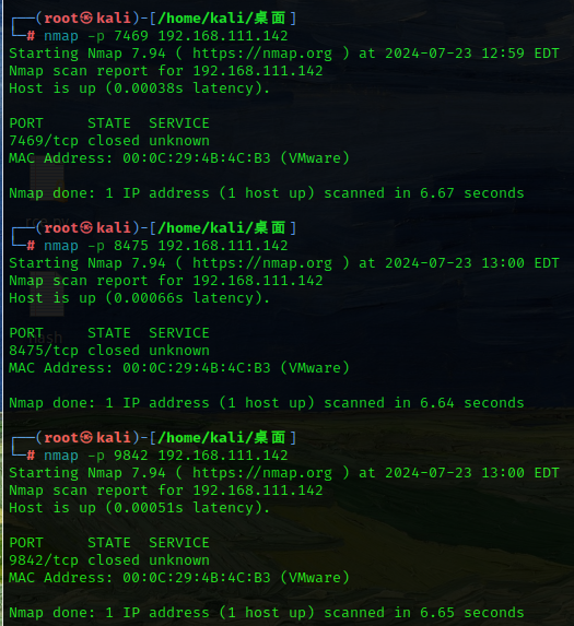 image-20240724010039783