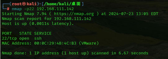 image-20240724010631697