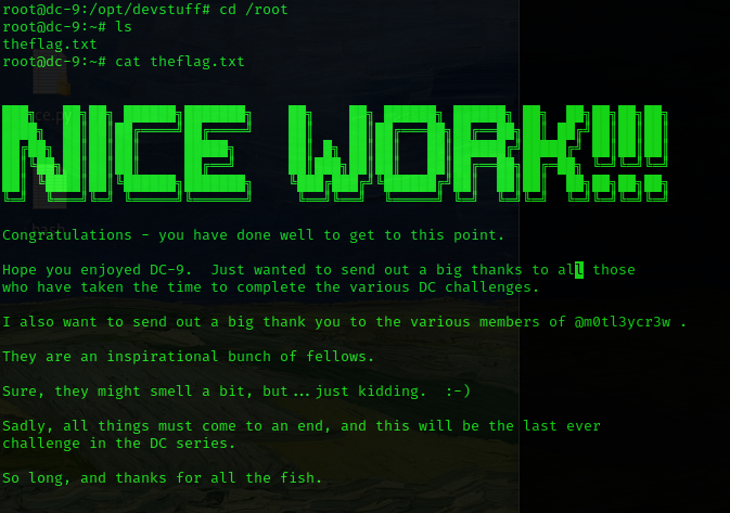 image-20240724022824593