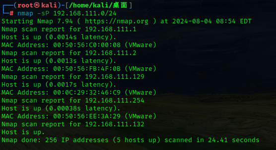 image-20240804205459196