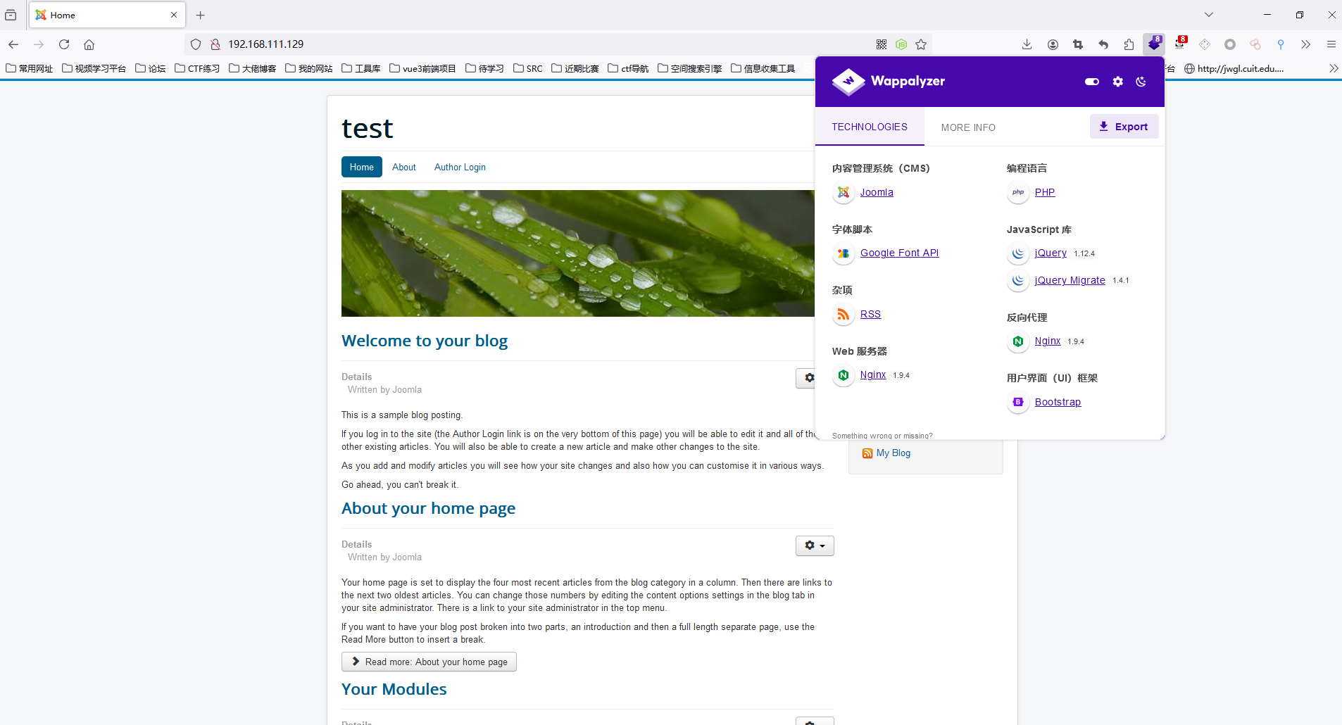 image-20240804205827585