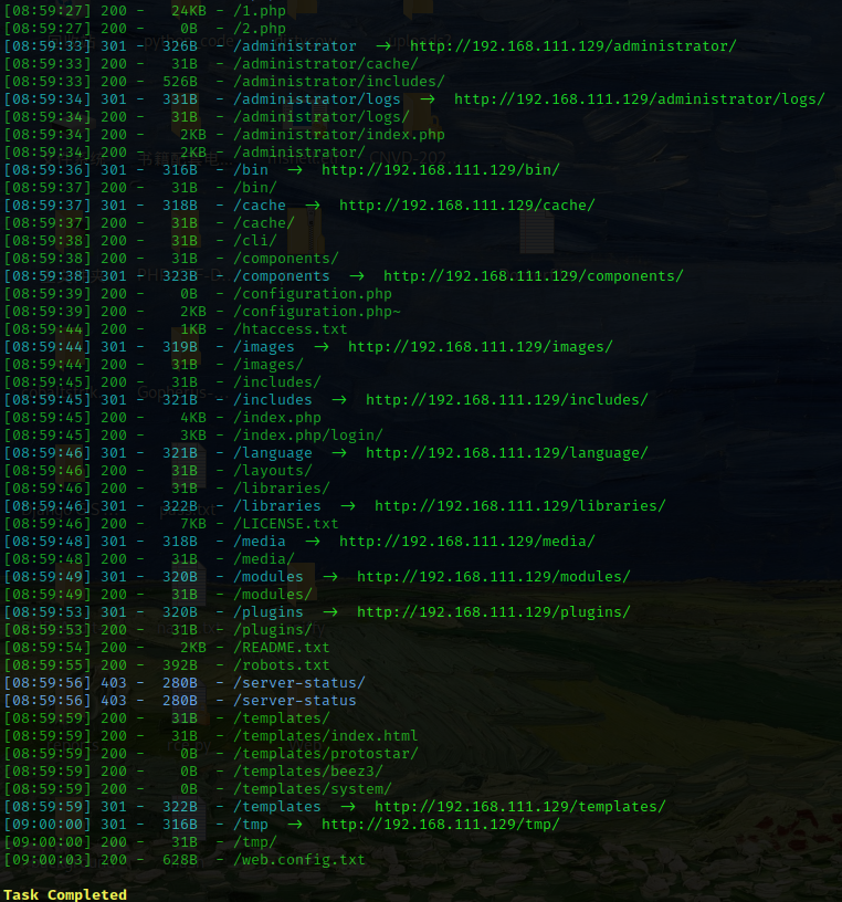 image-20240804210158210