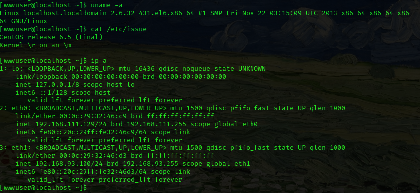 image-20240804222159815