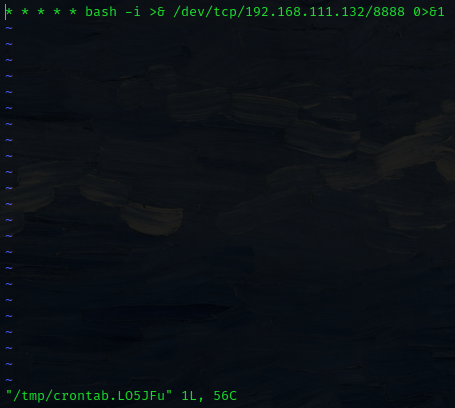 image-20240805174208283