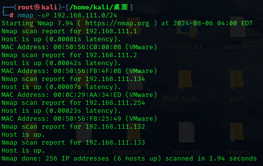 image-20240806164219360