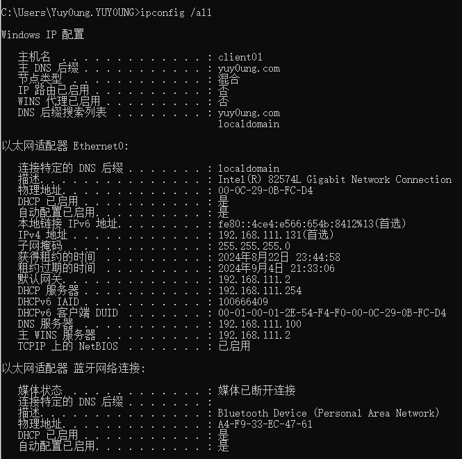 image-20240904211535685