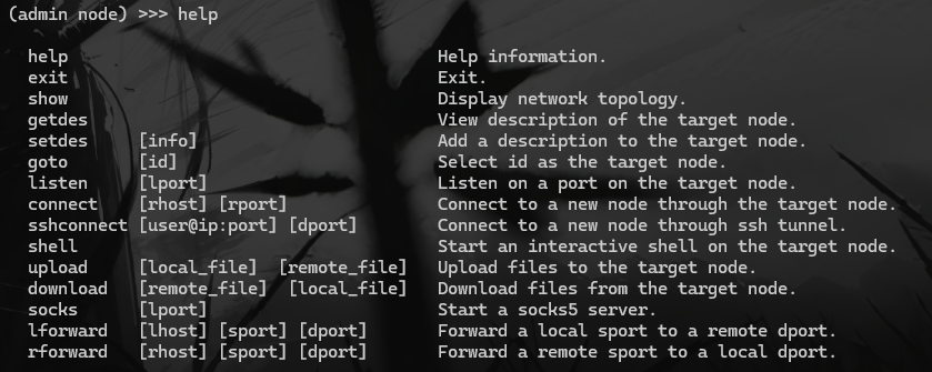 image-20241116164756285