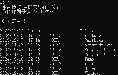 image-20241214211344172