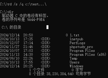 image-20241214211814139