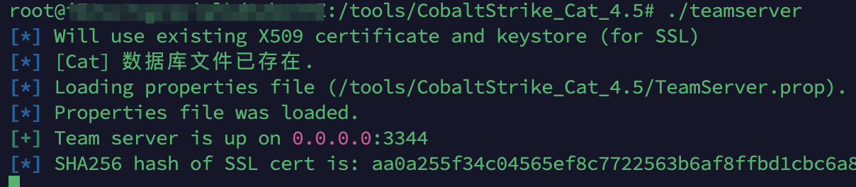 image-20250309165123468