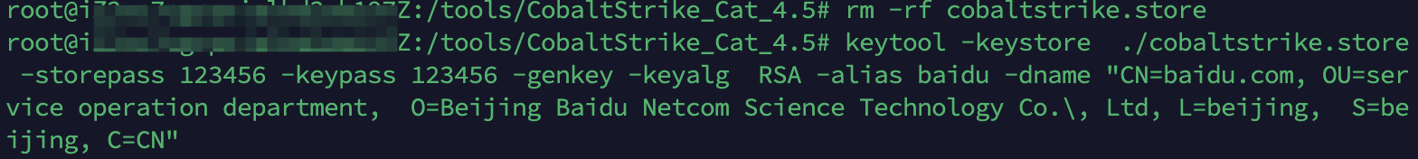 image-20250309165325858